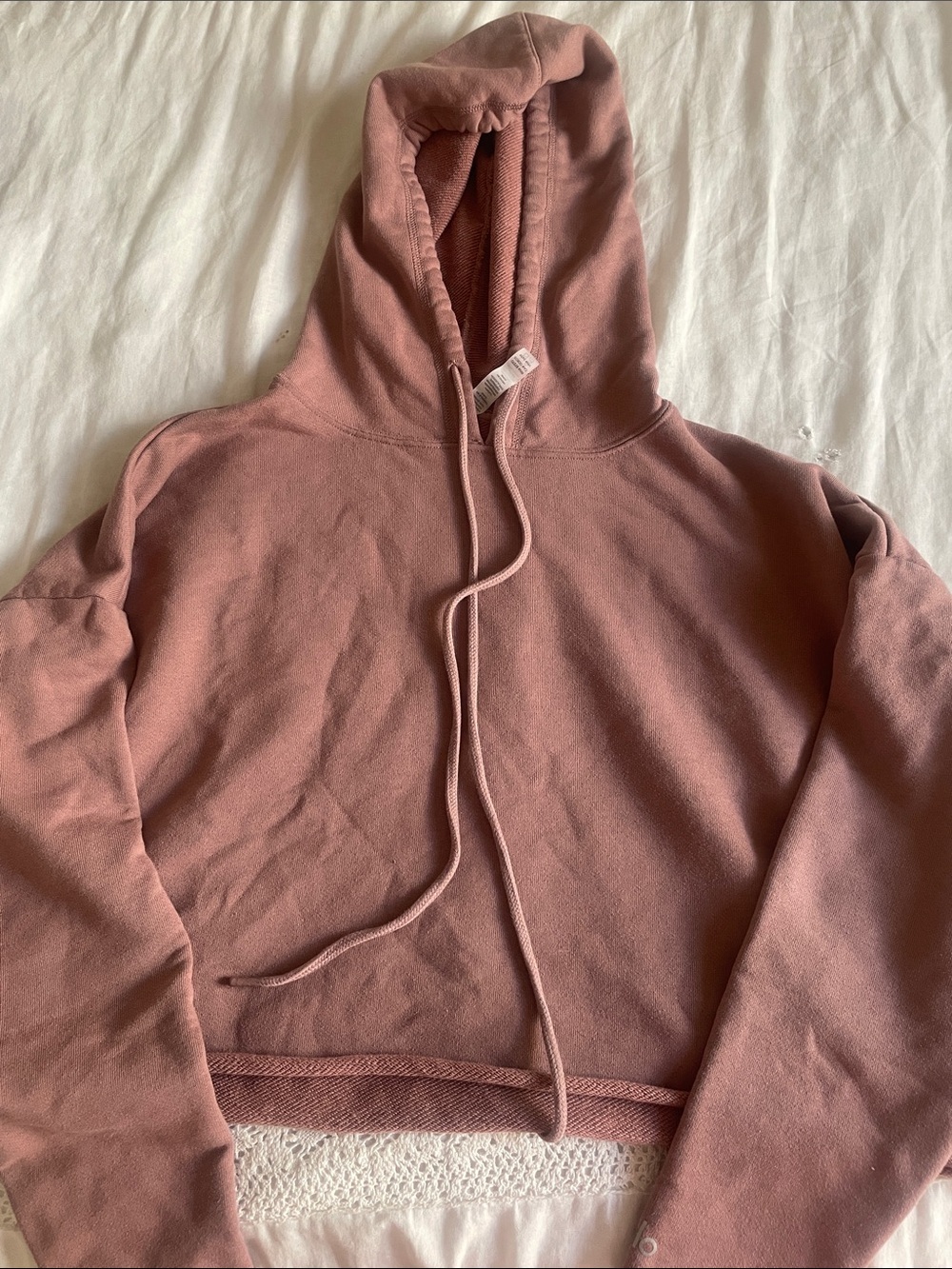 Alo Cropped Hoodie
